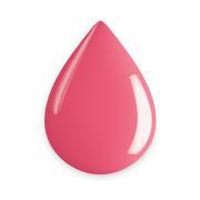 EVOLUTO COLOR PUSSYCAT 14ML