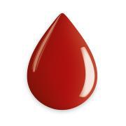 EVOLUTO COLOR ORIGINAL SIN 14ML