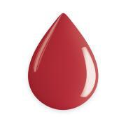 EVOLUTO COLOR BELLE EPOQUE 14ML