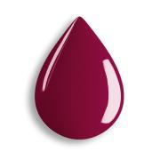 EVOLUTO COLOR BACIO DIPINTO 14 ML