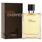 Hermès Terre d'Hermès Parfum 100ML