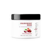 ALTISSIMA MASK 500 GR.COLOR RESIST cherry & pommegranate COLOURED HA