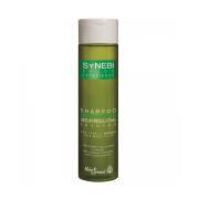 SYNEBI SHAMPOO SEBOEQUILIBRANTE 300ML CAPELLI GRASSI